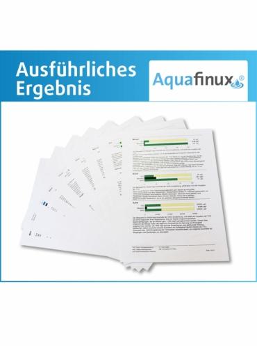 Ausführliches Ergebnis