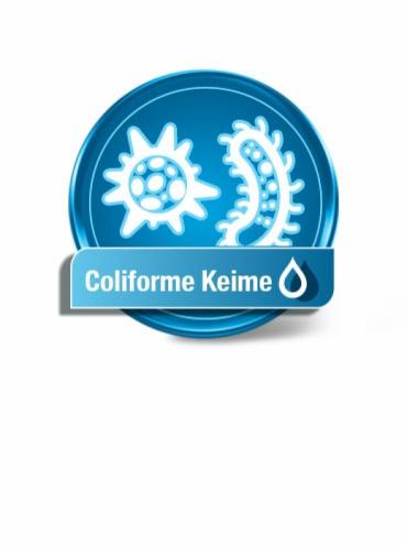 Coliforme Keime