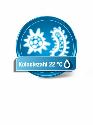 Koloniezahl 22 °C