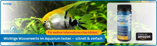 aquarium wassertest