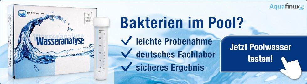 Jetzt Poolwasser auf Bakterien testen!