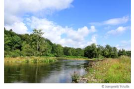 Wasserqualität Ruhr