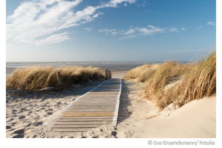 Wasserqualität der Nordsee