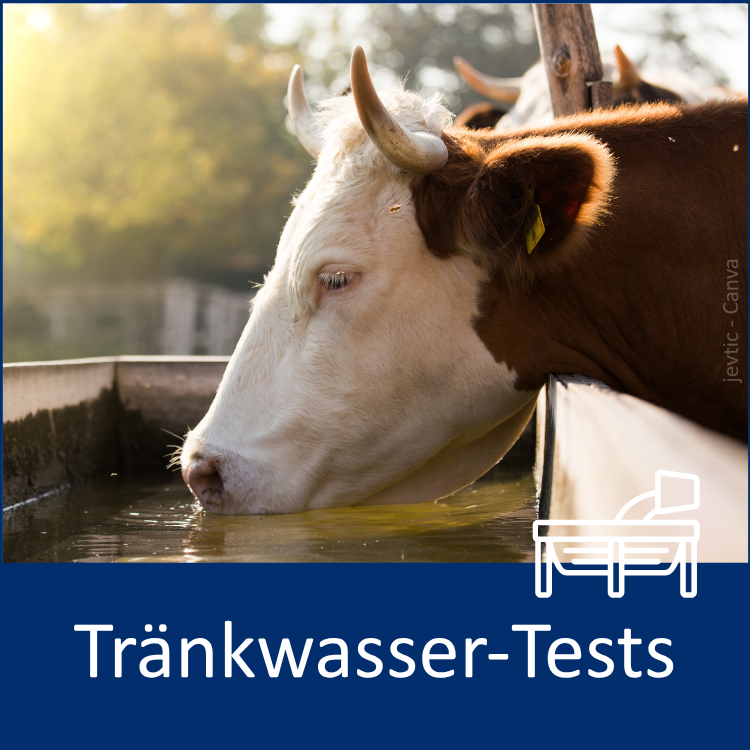 Zu den Tränkwassertests