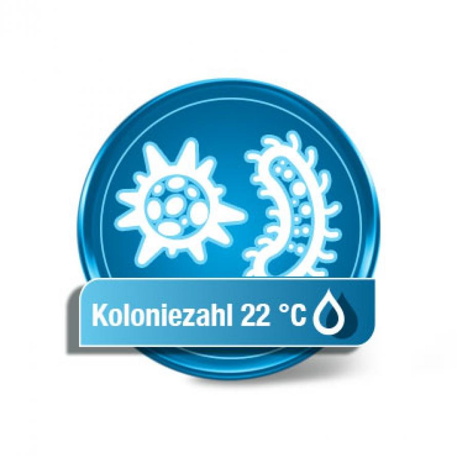 Koloniezahl 22 °C