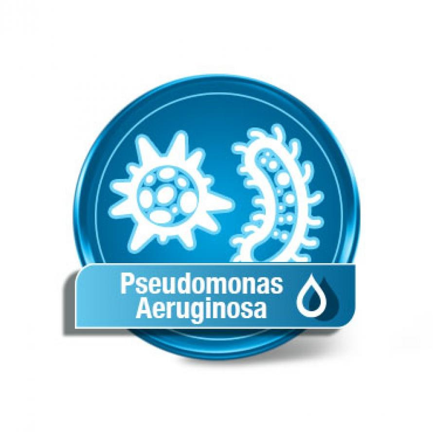 Pseudomonas aeruginosa