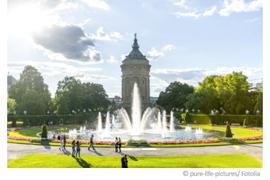 Wasserqualität Mannheim