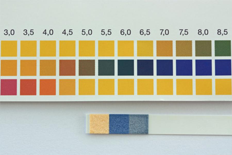 Wassertester - selbst Wasser testen