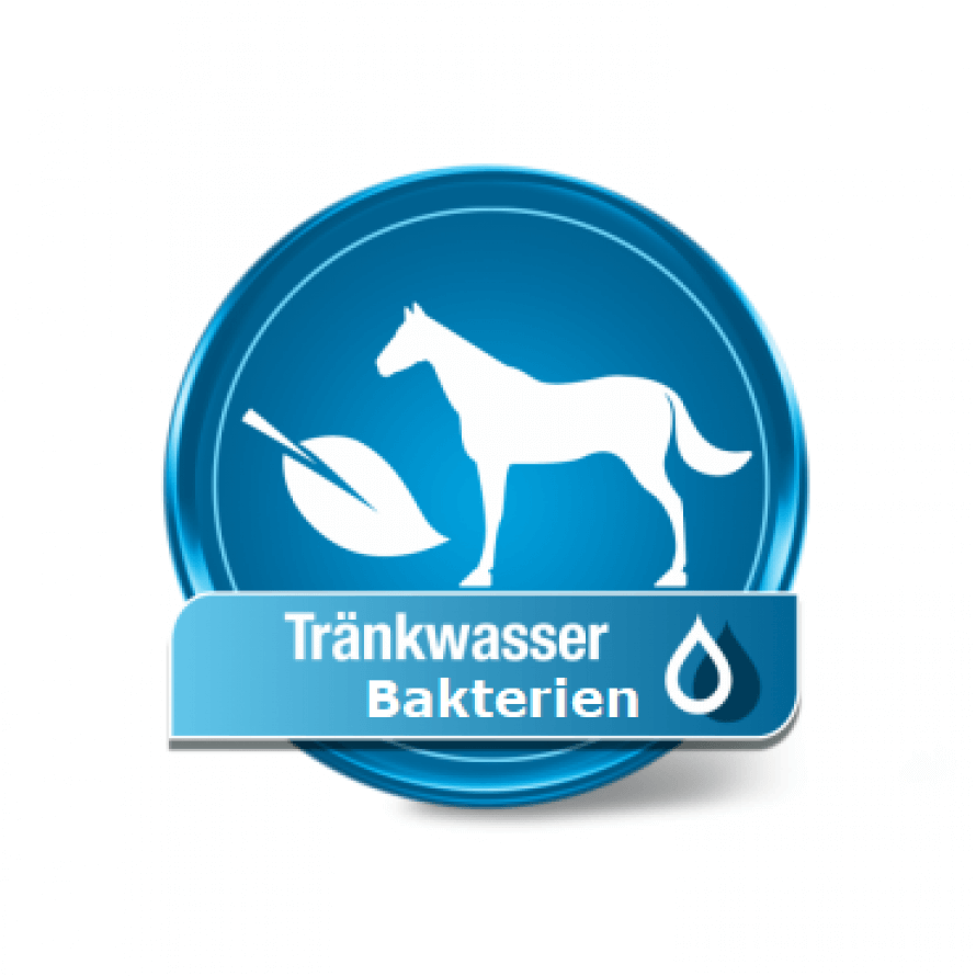 Tränkewasser-Analyse Bakterien
