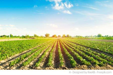 Nitrat im Wasser: Bayerns Wasserwirtschaft ist besorgt