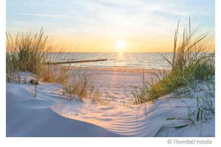 Wasserqualität Ostsee