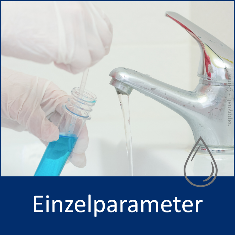 Zu den Einzelparameteranalysen