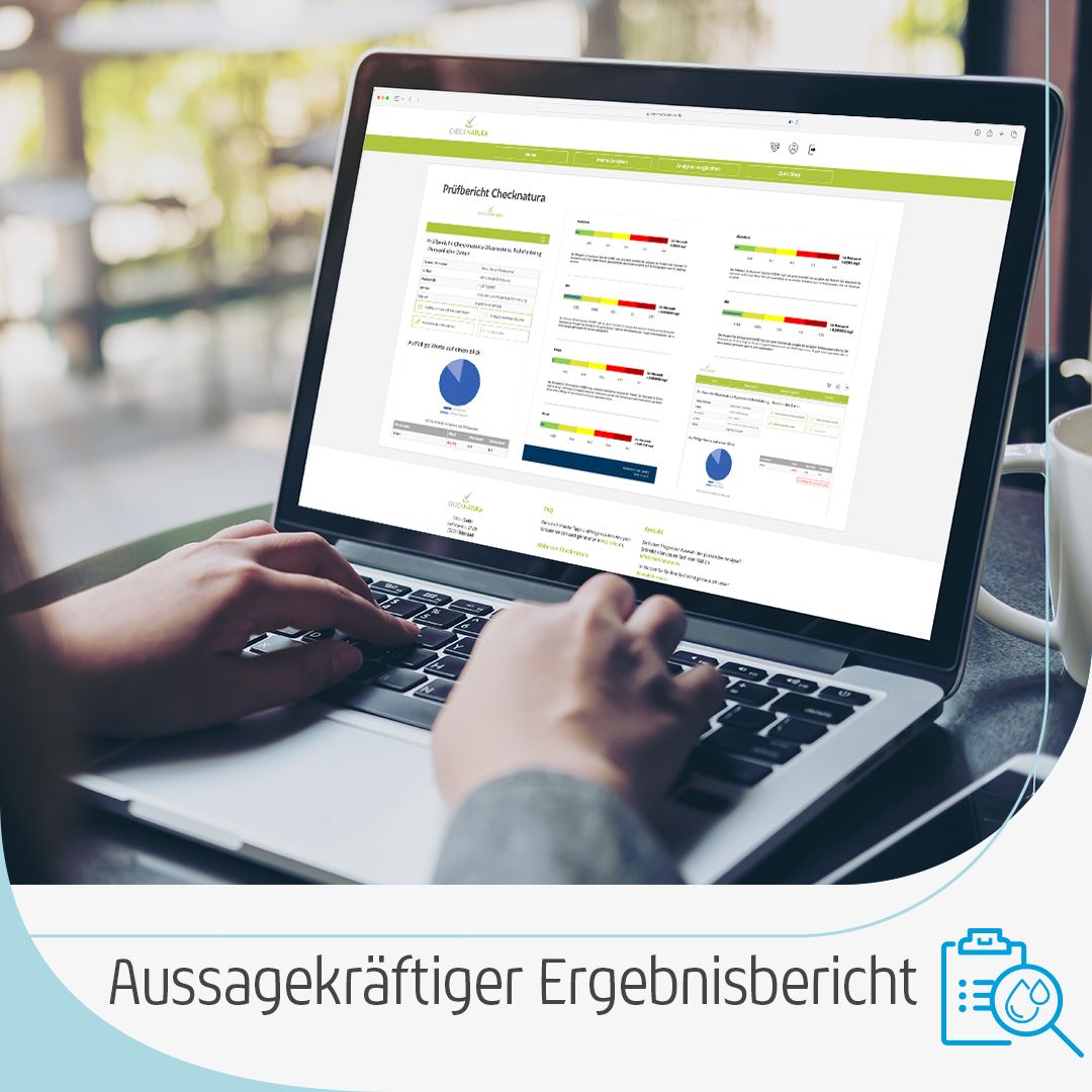 Aussagekräftiger Online-Ergebnisbericht