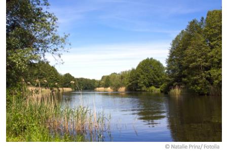 Wasserqualität der Flüsse in Deutschland