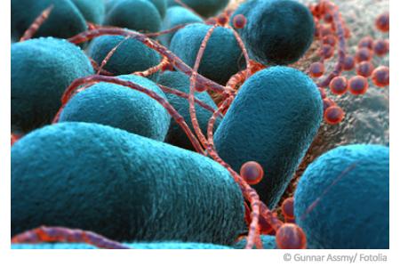 E. coli im Wasser - woher kommen die Darmbakterien?