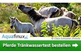 Tränkewasser: Darum ist eine hohe Qualität wichtig